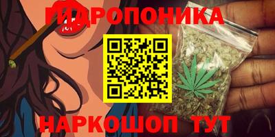 spice Бузулук