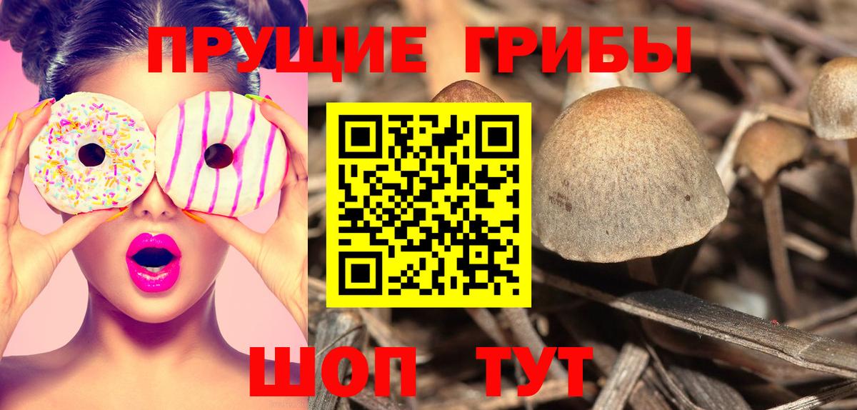 Котовск  Галлюциногенные грибы GOLDEN TEACHER  Вход с VPN 