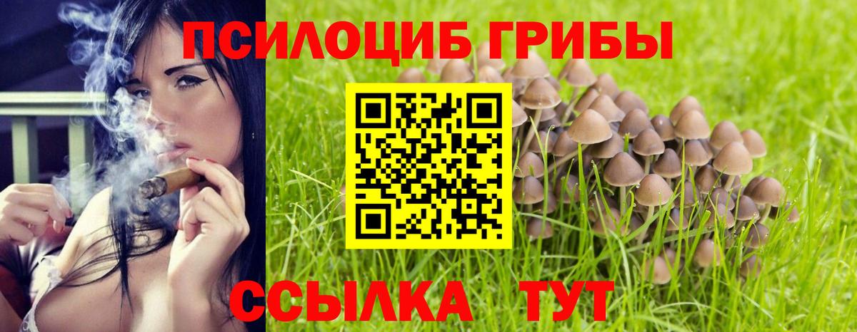 ГЕРОИН Котовск